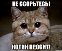 Не ссорьтесь! Котик просит!