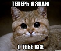 теперь я знаю о тебе все