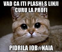 Vad ca iti plashi s linji curu la profi pidrila iob#naia