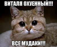 Виталя охуенный!!! все мудаки!!!