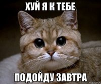 хуй я к тебе подойду завтра