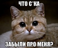 что С*КА забыли про меня?