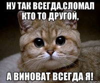 ну так всегда,сломал кто то другой, а виноват всегда я!