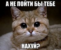 а не пойти бы тебе нахуй?