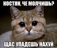 Костян, че молчишь? Щас упадешь нахуй