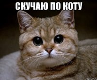 Скучаю по коту 