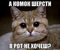 а комок шерсти в рот не хочеш?