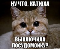 Ну что, Катюха Выключила посудомойку?