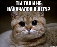 ты так и не накачался к лету? 