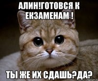 Алин!готовся к екзаменам ! Ты же их сдашь?да?