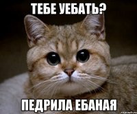 Тебе уебать? Педрила ебаная