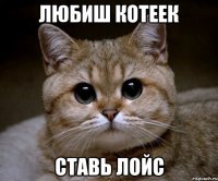 ЛЮБИШ КОТЕЕК СТАВЬ ЛОЙС