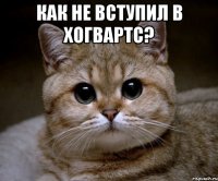 Как не вступил в Хогвартс? 