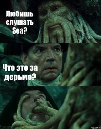 Любишь слушать Sea? Что это за дерьмо? 