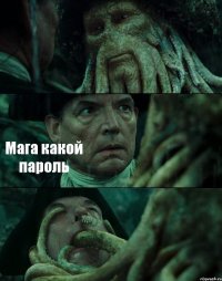  Мага какой пароль 