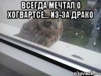Всегда мечтал о Хогвартсе... Из-за Драко 