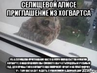 Селищевой Алисе Приглашение из Хогвартса Ув. А.Селищева приглашаю Вас в школу волшебства и магии Хогвартс. В нашей школе вы сможете обучаться целый учебный год. Для прибытия в Хогвартс вас попросят пройти на платформу 9¾ там вас будут ждать. С уважением А.Дамболдор
