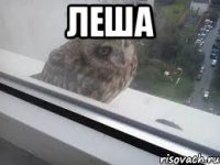 леша 