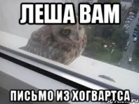 леша вам письмо из хогвартса