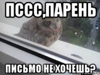 Пссс,парень Письмо не хочешь?