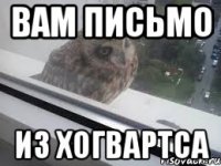 Вам письмо Из Хогвартса