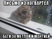 Письмо из хогвартса Беги за метлой и мантией