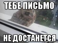 ТЕБЕ ПИСЬМО НЕ ДОСТАНЕТСЯ