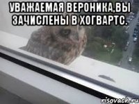 Уважаемая Вероника,вы зачислены в Хогвартс. 