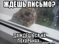Ждёшь письмо? Дождёшься на похоранах...