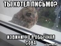 Ты хотел письмо? Извини, но я обычная сова