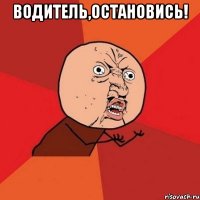 водитель,остановись! 