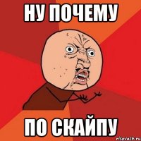 Ну почему по скайпу