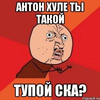 Антон хуле ты такой Тупой ска?