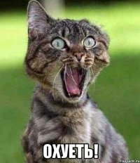  ОХУЕТЬ!