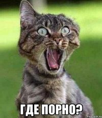  где порно?