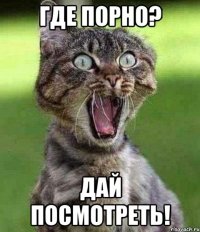 где порно? дай посмотреть!