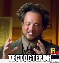  Тестостерон