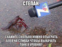 степан, скажите,сколько нужно отыграть боев на сливах чтобы выкачать танк 8 уровня?