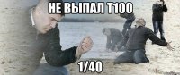 Не выпал Т100 1/40