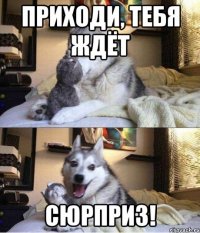 приходи, тебя ждёт сюрприз!