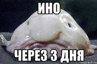 ИНО через 3 дня