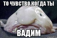 То чувство,когда ты ВАДИМ