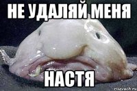 Не удаляй меня НАСТЯ