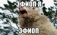 эфиоп я эфиоп