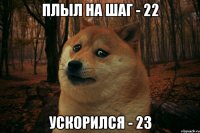 Плыл на шаг - 22 Ускорился - 23