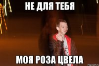 не для тебя моя роза цвела
