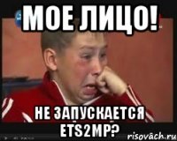 Мое лицо! Не запускается ETS2MP?