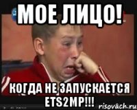 Мое лицо! Когда не запускается ETS2MP!!!