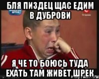 Бля пиздец щас едим в дуброви Я че то боюсь туда ехать там живет шрек