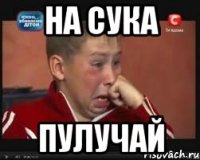 на сука пулучай